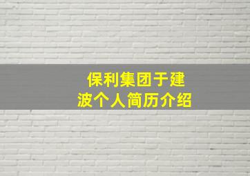 保利集团于建波个人简历介绍