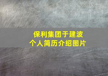 保利集团于建波个人简历介绍图片