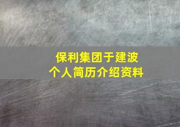 保利集团于建波个人简历介绍资料