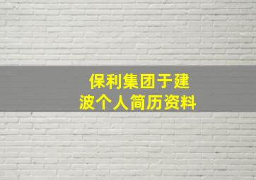 保利集团于建波个人简历资料