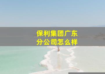 保利集团广东分公司怎么样