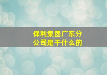 保利集团广东分公司是干什么的