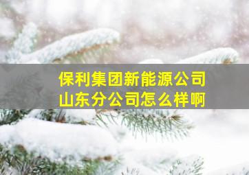 保利集团新能源公司山东分公司怎么样啊