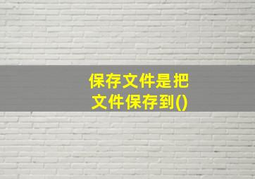 保存文件是把文件保存到()