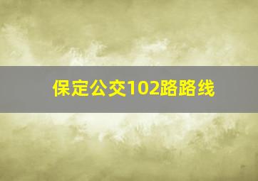 保定公交102路路线