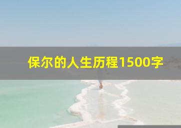 保尔的人生历程1500字