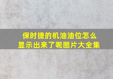 保时捷的机油油位怎么显示出来了呢图片大全集