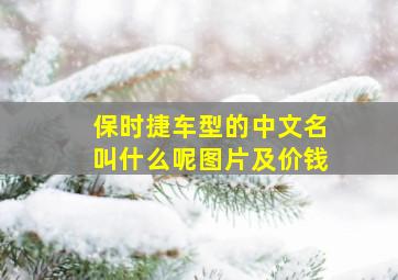 保时捷车型的中文名叫什么呢图片及价钱