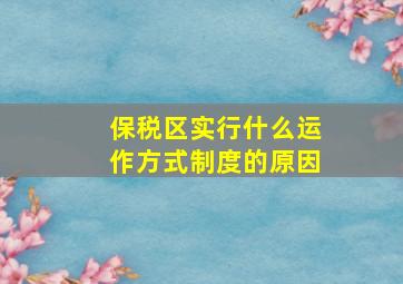 保税区实行什么运作方式制度的原因