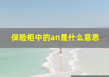 保险柜中的an是什么意思