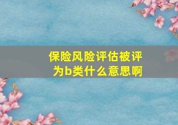 保险风险评估被评为b类什么意思啊