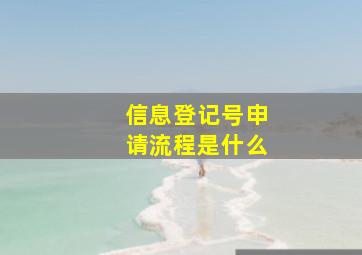 信息登记号申请流程是什么