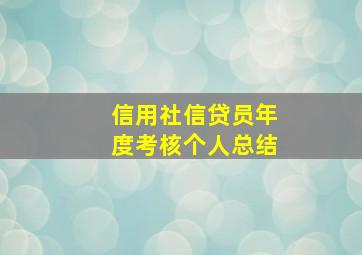 信用社信贷员年度考核个人总结