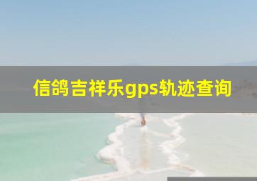 信鸽吉祥乐gps轨迹查询