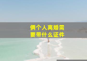 俩个人离婚需要带什么证件