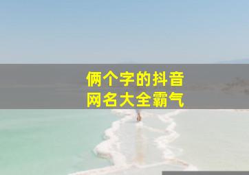 俩个字的抖音网名大全霸气