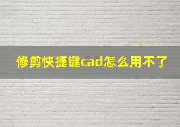 修剪快捷键cad怎么用不了