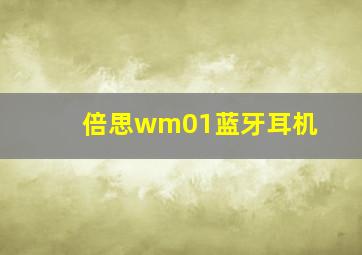 倍思wm01蓝牙耳机