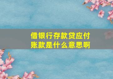 借银行存款贷应付账款是什么意思啊