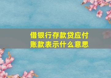 借银行存款贷应付账款表示什么意思