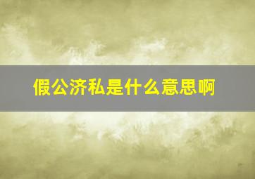 假公济私是什么意思啊