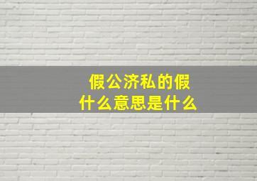 假公济私的假什么意思是什么