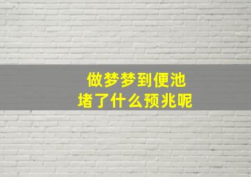 做梦梦到便池堵了什么预兆呢