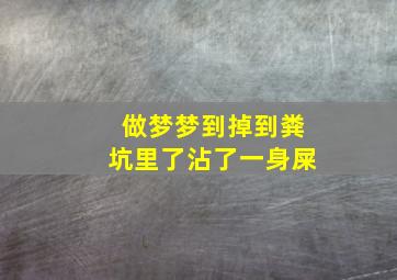 做梦梦到掉到粪坑里了沾了一身屎