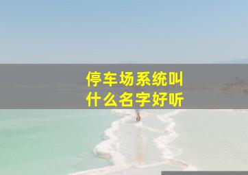 停车场系统叫什么名字好听