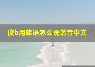 傻b用韩语怎么说谐音中文