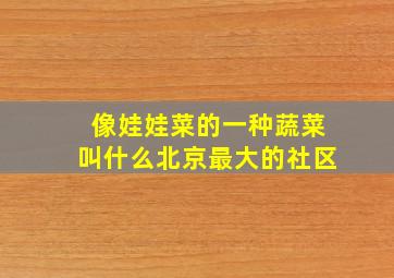 像娃娃菜的一种蔬菜叫什么北京最大的社区