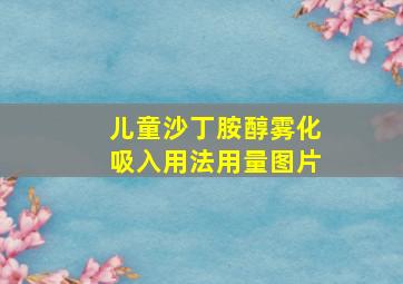 儿童沙丁胺醇雾化吸入用法用量图片