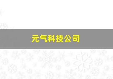 元气科技公司