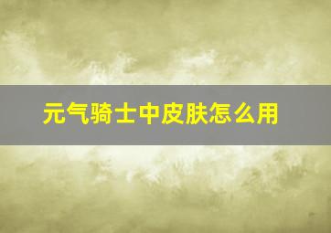 元气骑士中皮肤怎么用