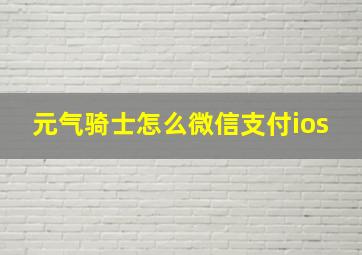 元气骑士怎么微信支付ios