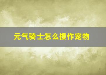 元气骑士怎么操作宠物