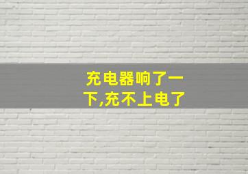 充电器响了一下,充不上电了