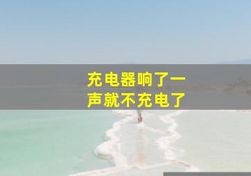 充电器响了一声就不充电了