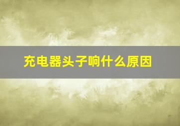 充电器头子响什么原因