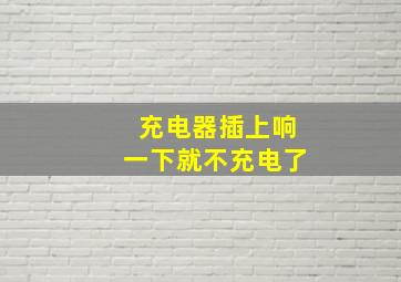 充电器插上响一下就不充电了