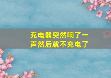 充电器突然响了一声然后就不充电了