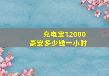 充电宝12000毫安多少钱一小时