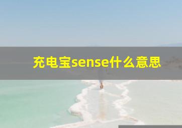 充电宝sense什么意思