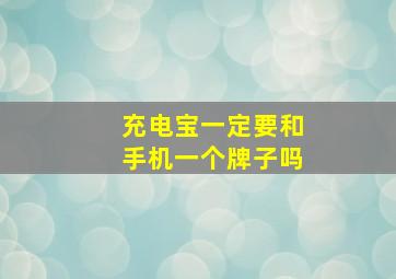 充电宝一定要和手机一个牌子吗