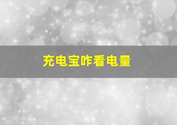 充电宝咋看电量