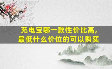 充电宝哪一款性价比高,最低什么价位的可以购买