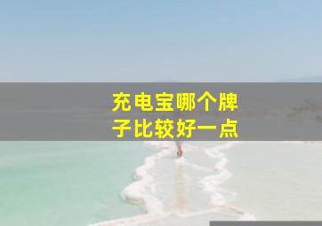 充电宝哪个牌子比较好一点