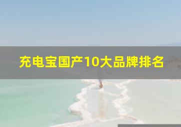 充电宝国产10大品牌排名