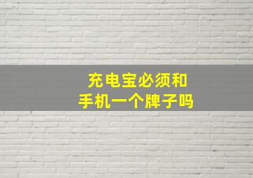 充电宝必须和手机一个牌子吗