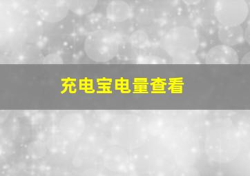 充电宝电量查看